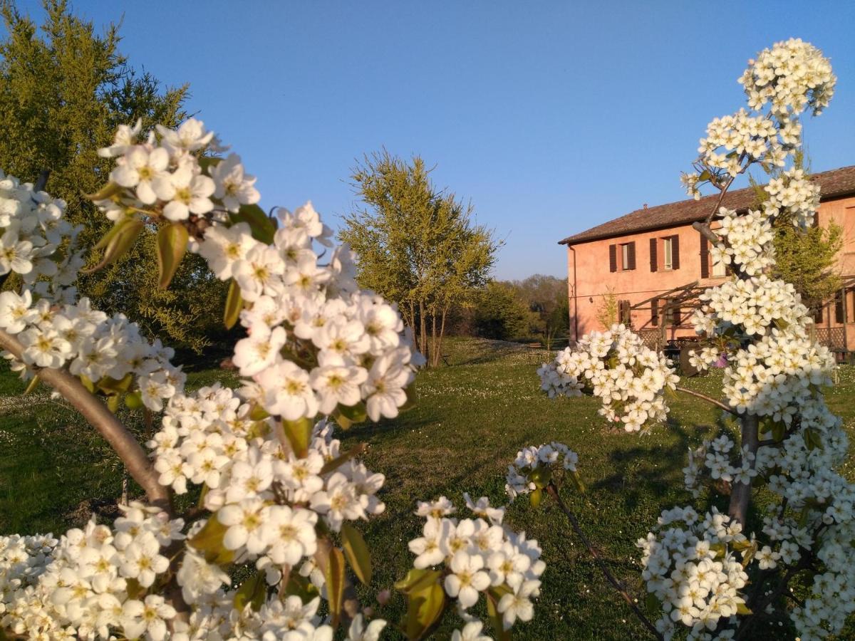 Agriturismo La Lenticchia Fratta Terme Kültér fotó