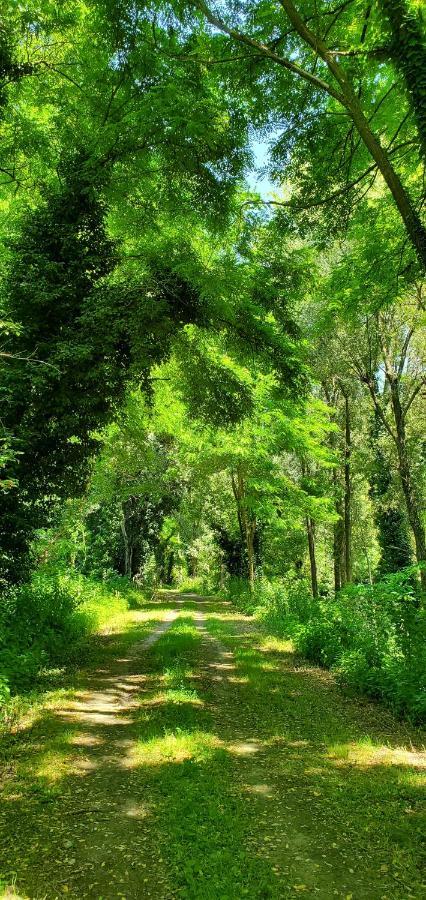 Agriturismo La Lenticchia Fratta Terme Kültér fotó