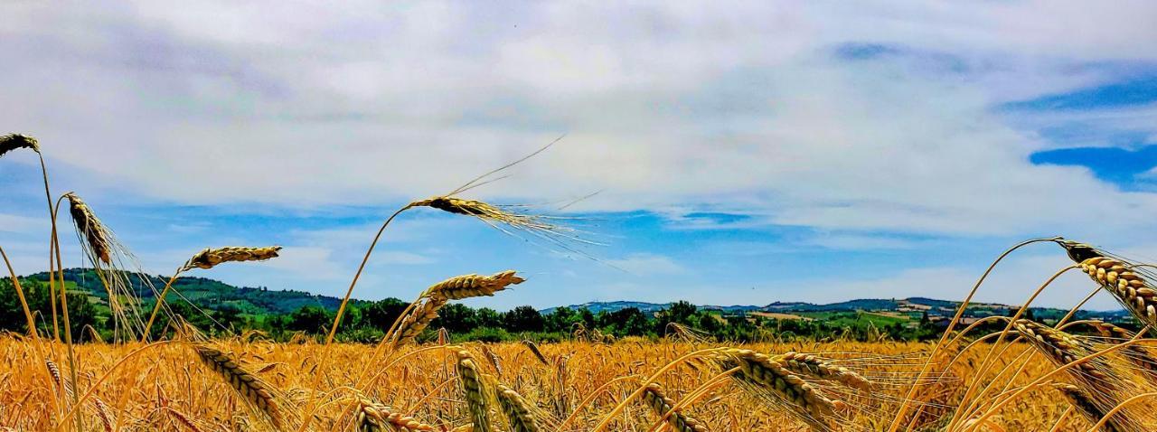 Agriturismo La Lenticchia Fratta Terme Kültér fotó