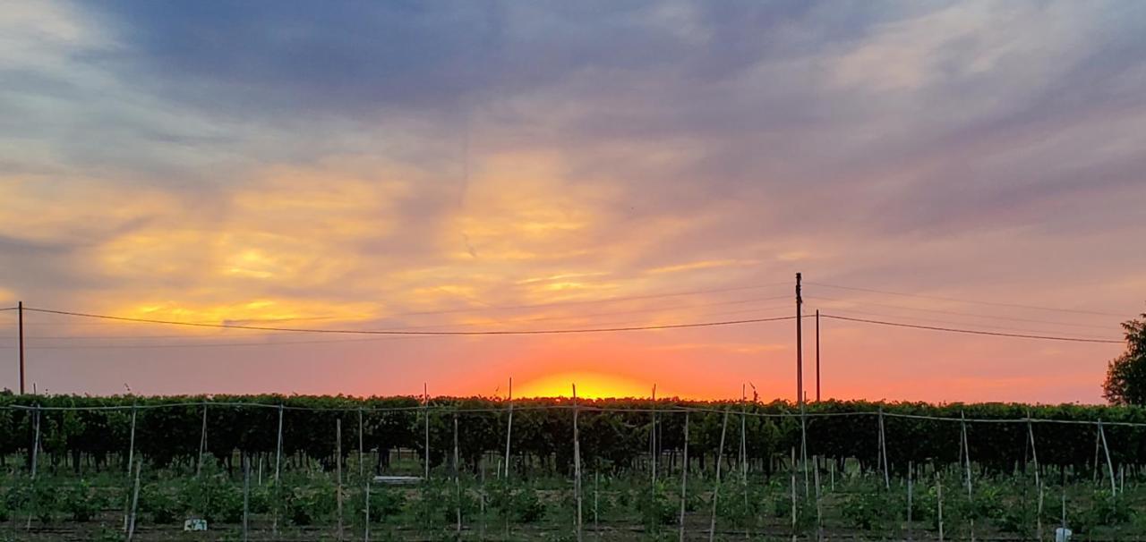 Agriturismo La Lenticchia Fratta Terme Kültér fotó