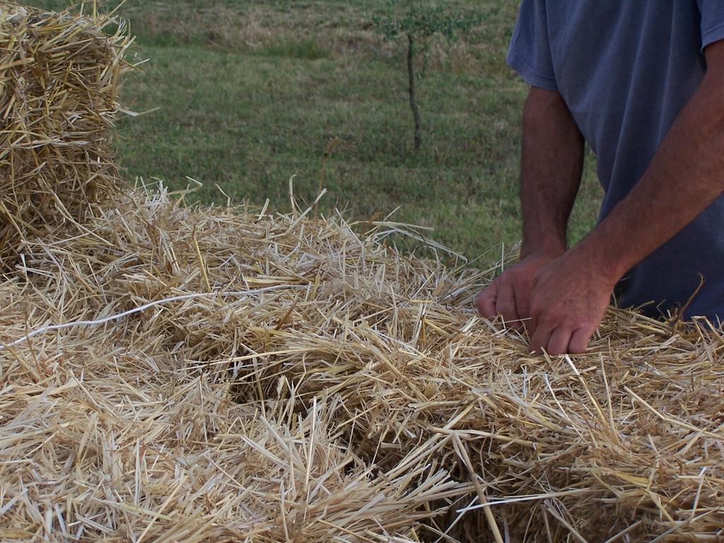 Agriturismo La Lenticchia Fratta Terme Kültér fotó