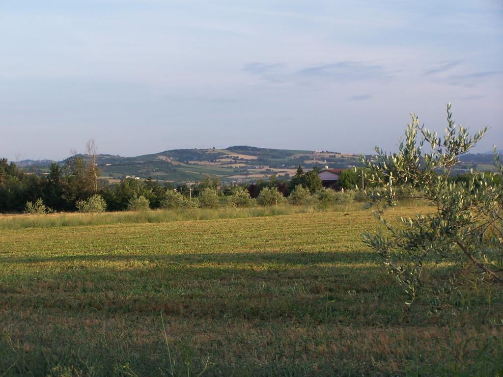 Agriturismo La Lenticchia Fratta Terme Kültér fotó