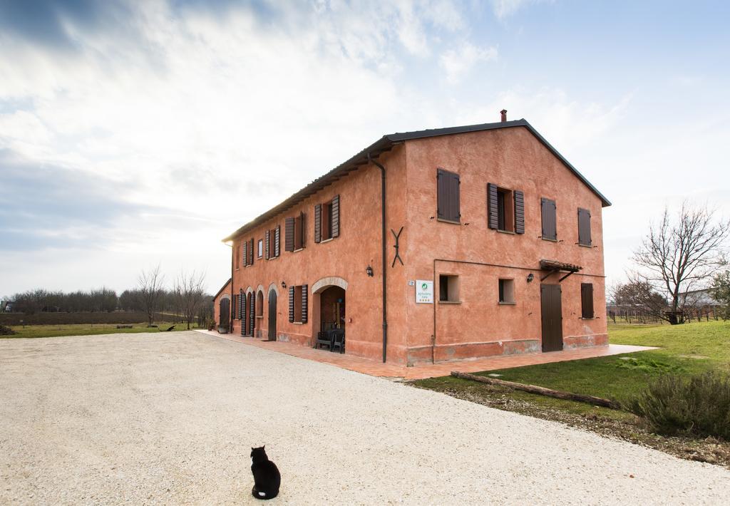 Agriturismo La Lenticchia Fratta Terme Kültér fotó