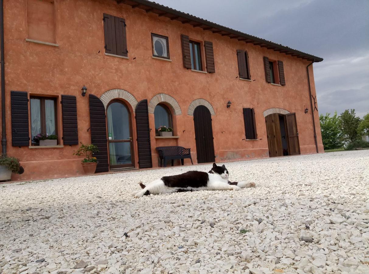 Agriturismo La Lenticchia Fratta Terme Kültér fotó
